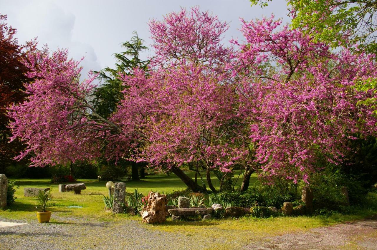 Domaine Les Grandes Roches Bed & Breakfast Tregunc Bagian luar foto