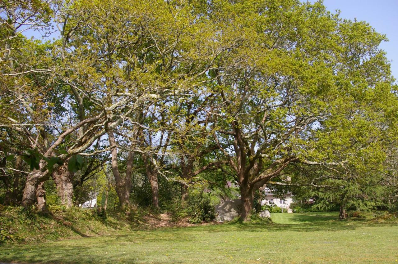 Domaine Les Grandes Roches Bed & Breakfast Tregunc Bagian luar foto