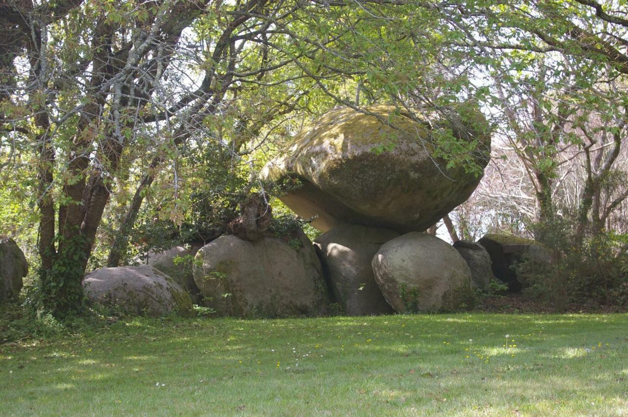Domaine Les Grandes Roches Bed & Breakfast Tregunc Bagian luar foto